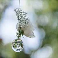 mini vase boule