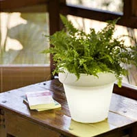 pot lumineux