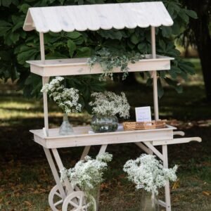 Chariot Candy Bar en bois céruse